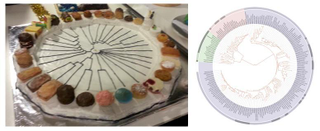 Illustration for article titled GeoCakes are Pretty, Delicious Geology Lessons